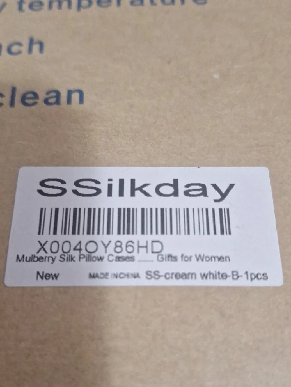 Ssilkday Mulberry Silk Queen Pillowcase - Cream Ivory